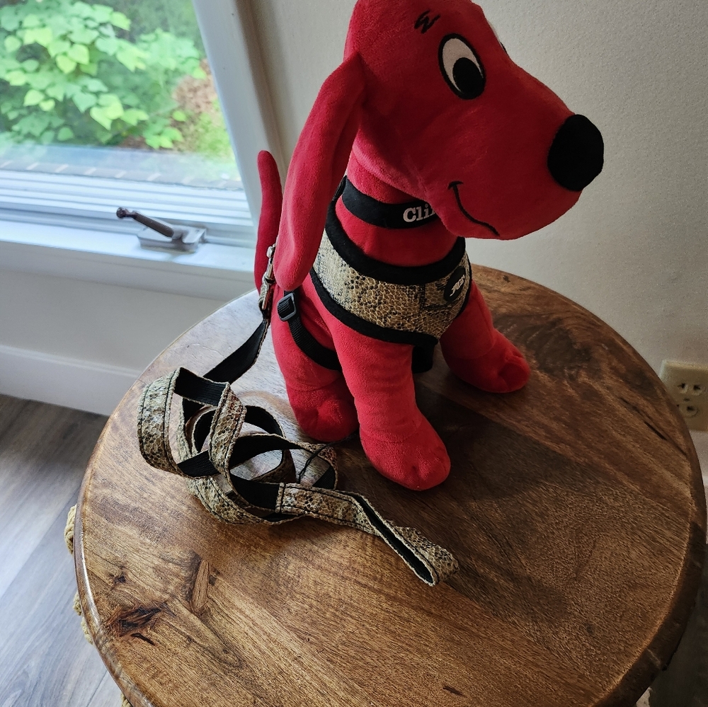 Leash and Harness Set Xs/S Dog